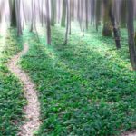 Rebecca Connor - relationships therapist in Plymouth, Minnesota